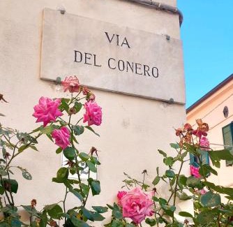 Pietra La Croce Apartment | LoLé sulla Via del Conero