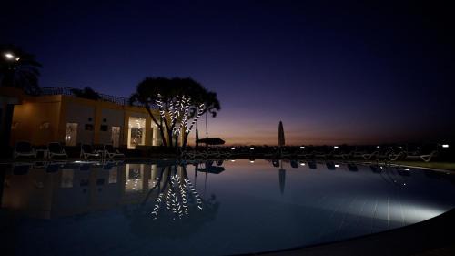 Nile River Luxor Hotel | Lotus Luxor Hotel