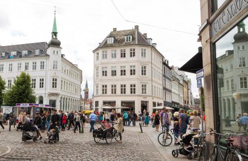 Copenhagen City Centre Apartment | Lovely and Homey Apartment in the heart of Copenhagen