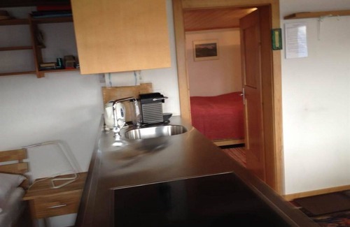 Riederalp Apartment | Lovely apartment for 3 guests with WIFI, TV, balcony and pets allowed