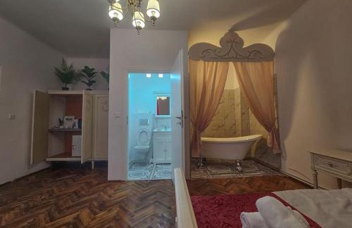 Centrul Vechi Apartment | Ludovic Boutique