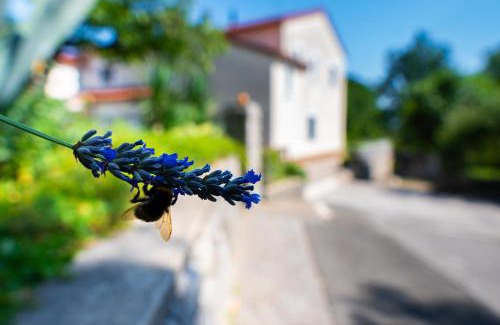 Sarsoni Apartment | Lumos Residence - Free private parking