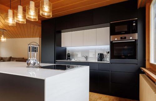 Davos Apartment | Luxe Davos Residence with Views Private Balcony