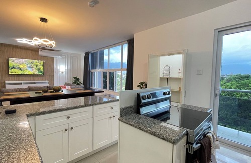 Eastwood Park Apartment | Luxurious, Smart 2-bedroom apartment with AC, WiFi, Laundry in Heart of Kingston