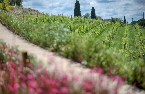 Panzano in Chianti Apartment | Luxury Chianti in La Farfalla in Panzano Chianti