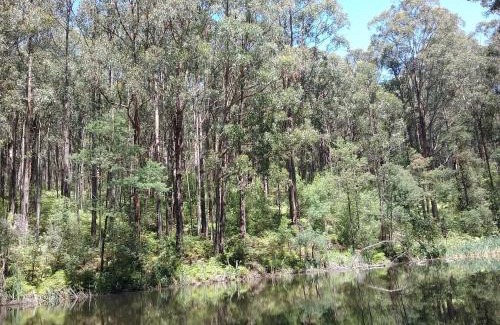 Hallston House | Lyrebird Gully Retreat