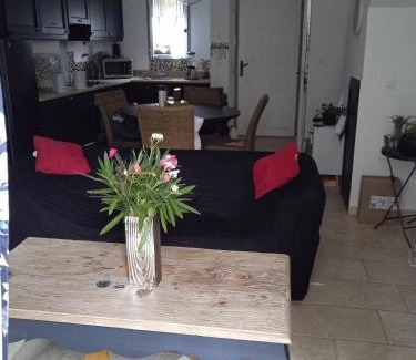 Saint-Laurent-de-la-Cabrerisse Villa | Maison T3 avec spa