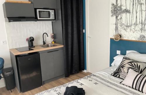 Carcassonne Apartment | Ma pierre à l'édifice, Face à la Cité vue sublime, studio avec terrasse