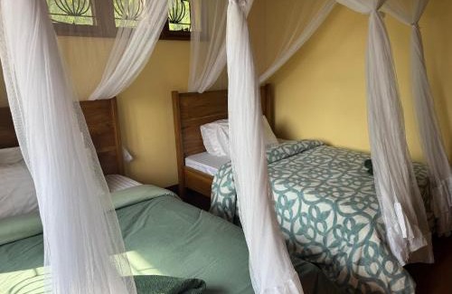 Moshi House | Mahali House