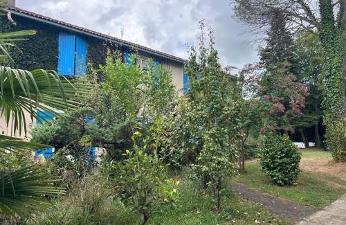 Salies-de-Bearn Apartment | Maison Luna 2