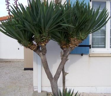 Les Mathes House | Maisonlazenitude-lapalmyre