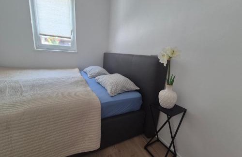 Selce House | Maja