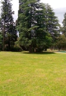 Greater Johannesburg Metropolitan Area Apartment | Man and Dog Log Cabin
