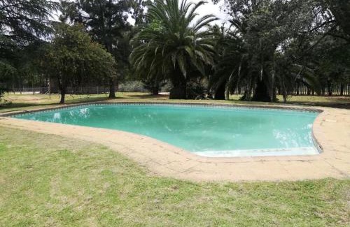 Greater Johannesburg Metropolitan Area Apartment | Man and Dog Log Cabin