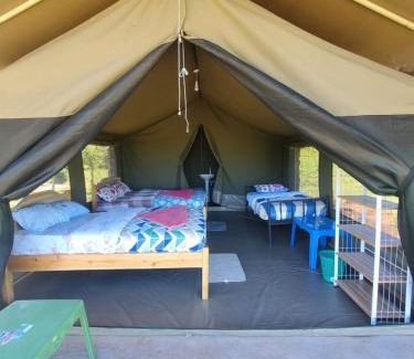 Maasai Mara Bed & Breakfast | Mara Sidain safaris