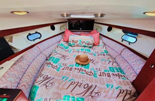 Puerto Rico Boat Rental | Mare di stelle
