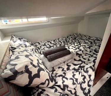Puerto Rico Boat Rental | Mare di stelle