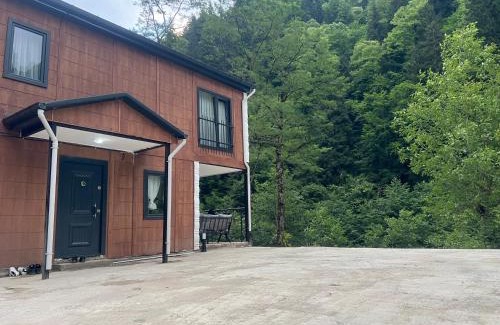 Ayder Villa | MARİPOSA LUXURY HOUSE