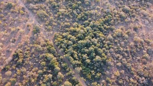 Ramotshere Moiloa Cabin | Marlothii Game Reserve