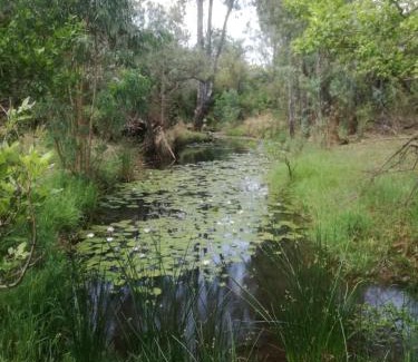 Ramotshere Moiloa Cabin | Marlothii Game Reserve