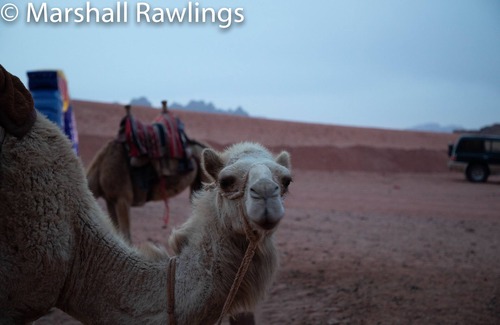 Wadi Rum RV Rental | Martian desert camp