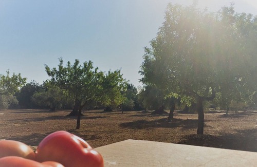 Costa Dorada Villa | Mas de Ballaruga with pool in an environment of peace and quiet