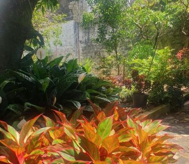 Cidade Nova IV Villa | Mathias Garden