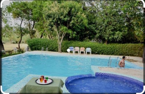 Ramnagar Hotel | Maya The Forest Resort
