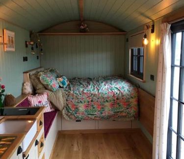 Hardstoft Other | Meadows view shepherds hut
