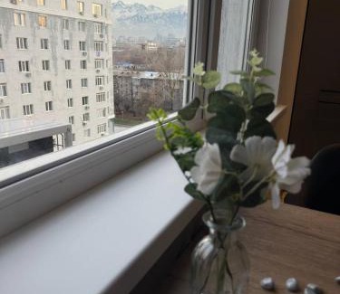 Almaty Apartment | MEDINAHOTELKZ, # 105, вид на горы около арбата, HALAL