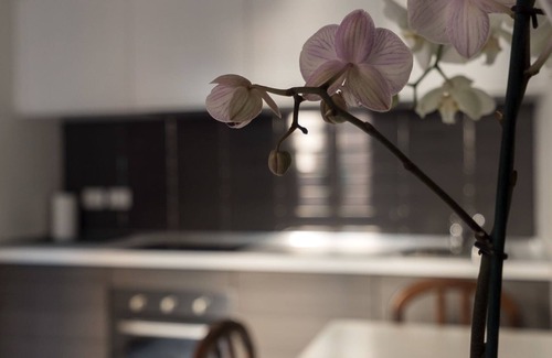 Zona Risorgimento Apartment | Mi-melz12c1m - Melzo 12 - 1CM SUL Art D co