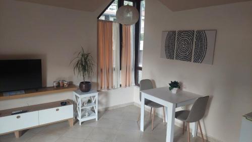 Kotor Apartment | Mila's studio
