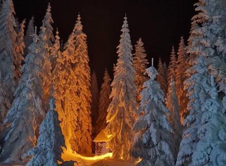 Lisina Apartment | Milmari S70 Kopaonik