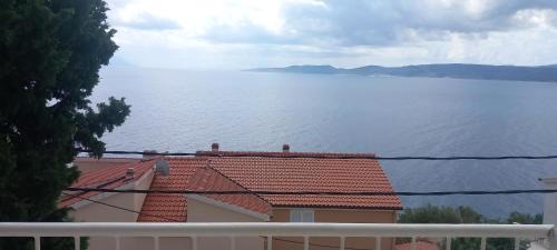Mimice House | Mimice View