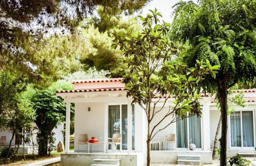 Argassi Hotel | Mimoza Beach