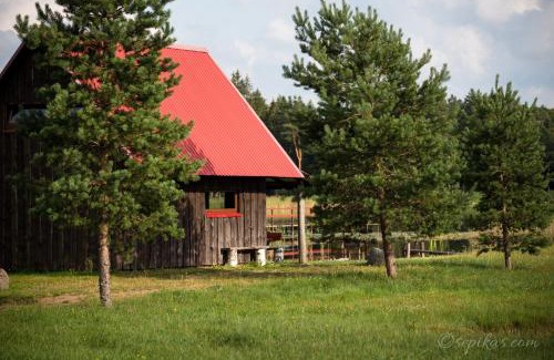 Telsiai House | Minavuonė - aštuonvietis namelis