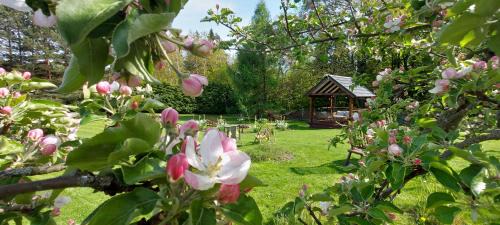 Szczytna Cabin | Mini Apartament Powozownia - Azyl tylko dla Dorosłych