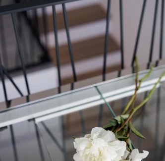 Piran Bed & Breakfast | Miracolo di Mare Trend