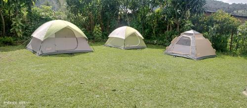 Musanze Other | Mist Rwanda Stay Inn