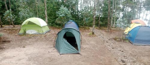 Musanze Other | Mist Rwanda Stay Inn
