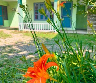 Bhowali Hotel | Misty Mount By Himalayan Tree Hotels