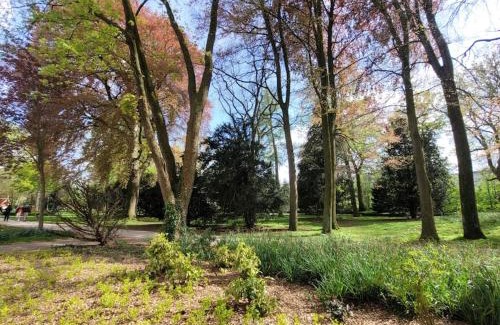 Warendorf Apartment | Mit Blick in den Emsseepark