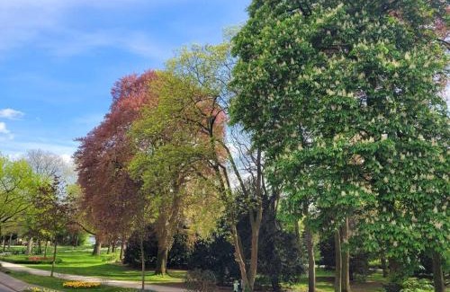 Warendorf Apartment | Mit Blick in den Emsseepark