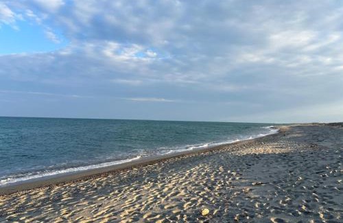 Torreilles-Plage Ski Chalet | Mobil-home les pieds dans l'eau camping LES DUNES 5"'"