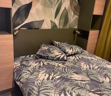 La Teste-de-Buch Apartment | Mobilhome grand standing 533