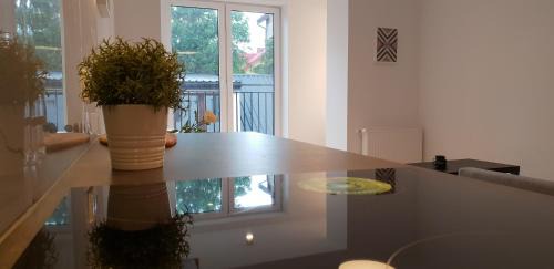 Krakow Apartment | Modern Apartment close to the center