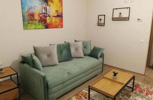 Tirgu Mures Apartment | Modern Studio