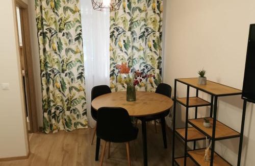 Tirgu Mures Apartment | Modern Studio