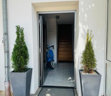 Norsingen Apartment | Modernes Loft am Rebberg im historischen Winzerhof