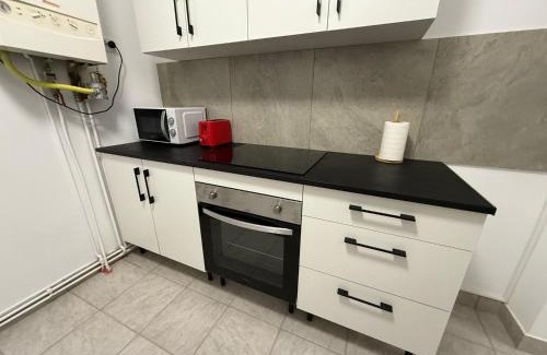 Satu Mare Apartment | MOFT Apartament central